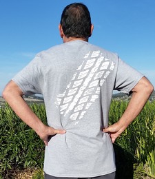 Men's Short Sleeve